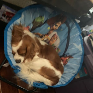 Meet your Posher, Sabrina